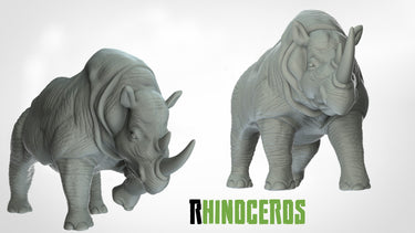 Rhinoceri